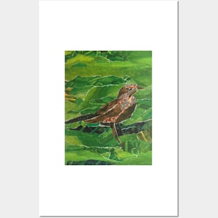 Brown Bird in the Green Grass Posters and Art
